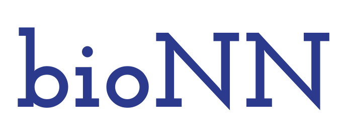 Project "Bio-inspired artificial neural networks" logo
